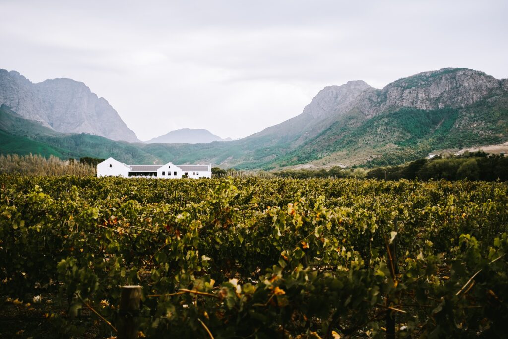 Das Westkap mit wunderbaren Weinregionen