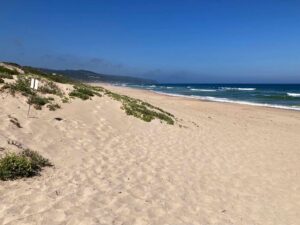 Leben am endlosen Strand