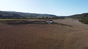 Farm in Südafrika kaufen