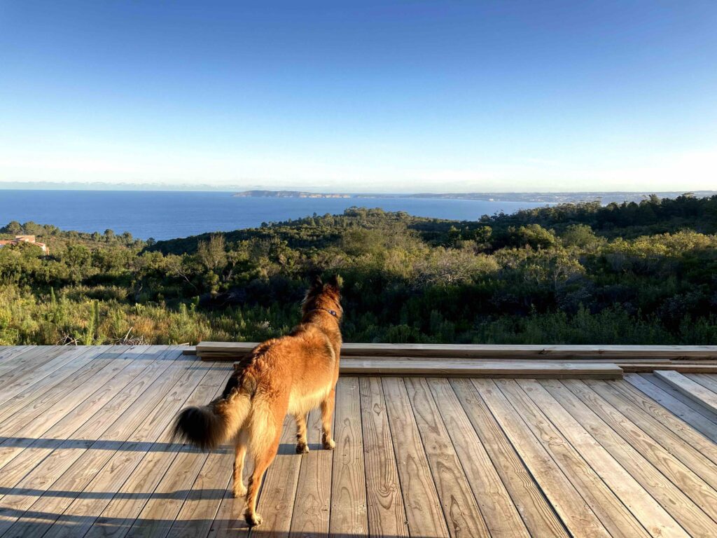 Aussicht in Südafrika